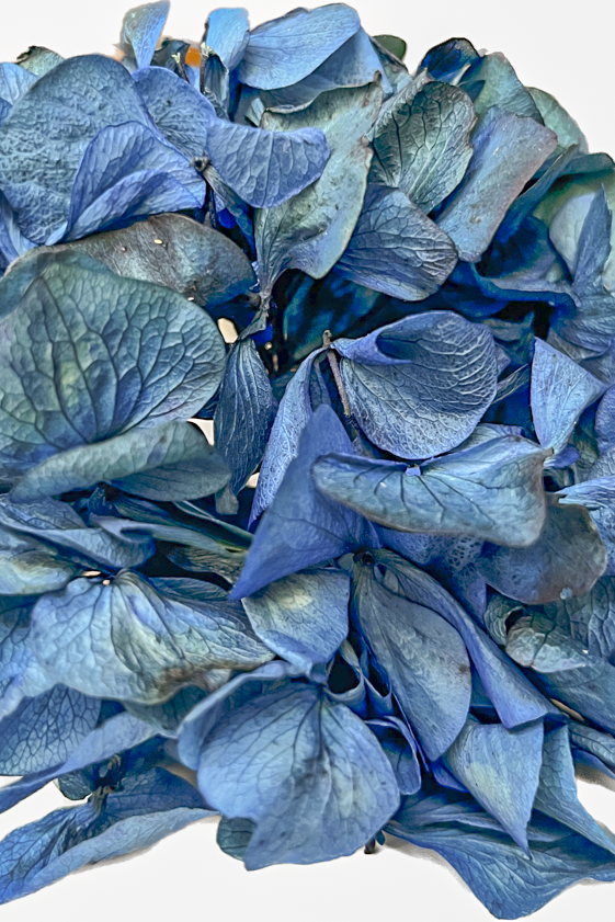 Flor Natural | Azul