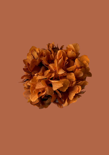 Flor | Naranja