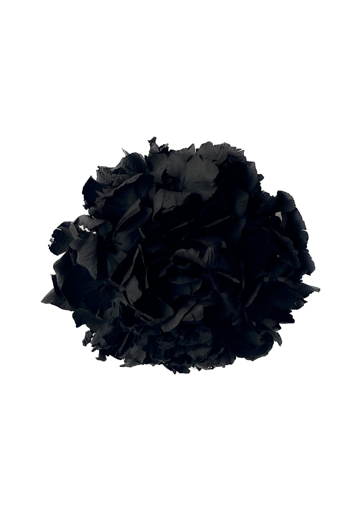 Flor | Negra