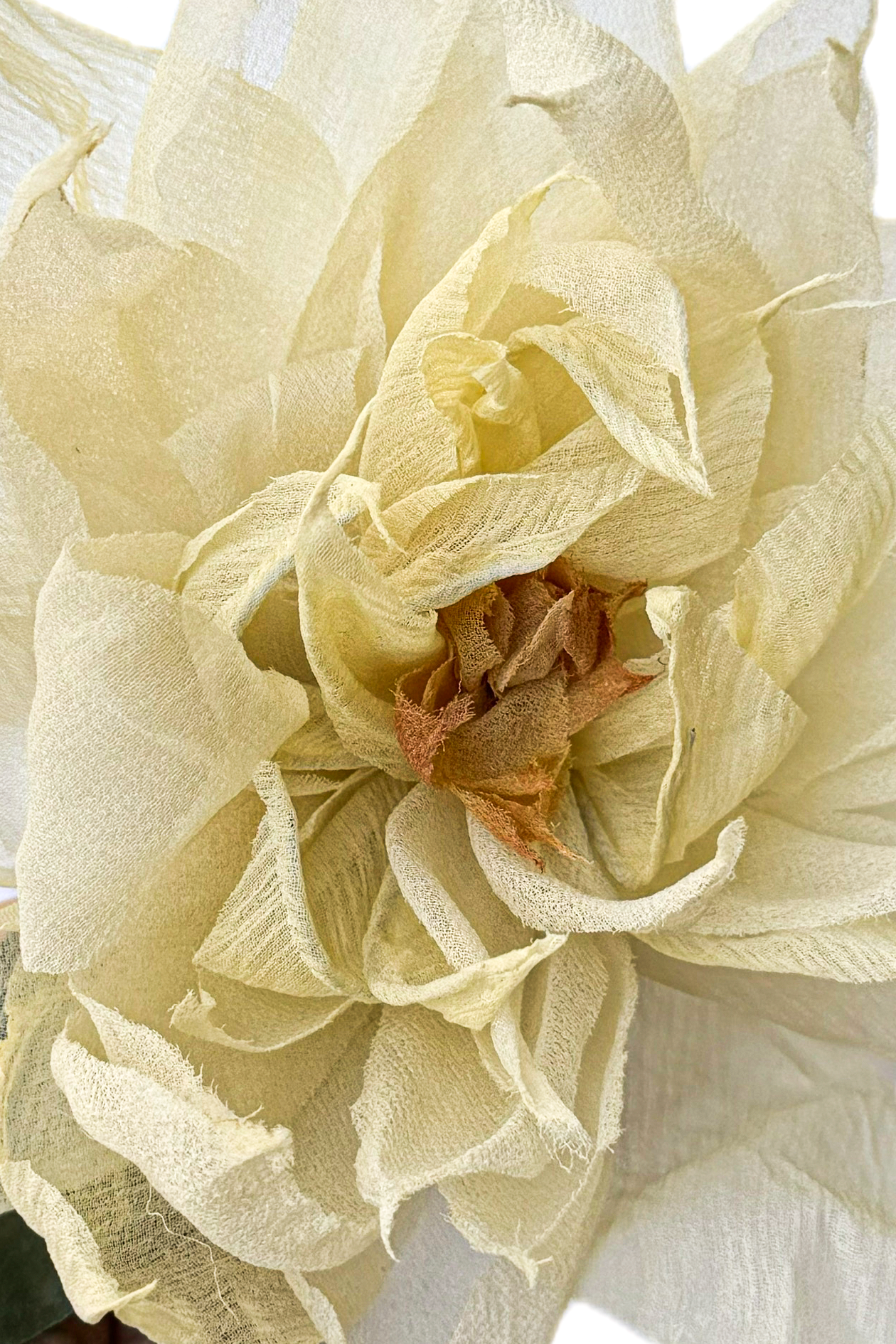 Silk Flower | Clematis